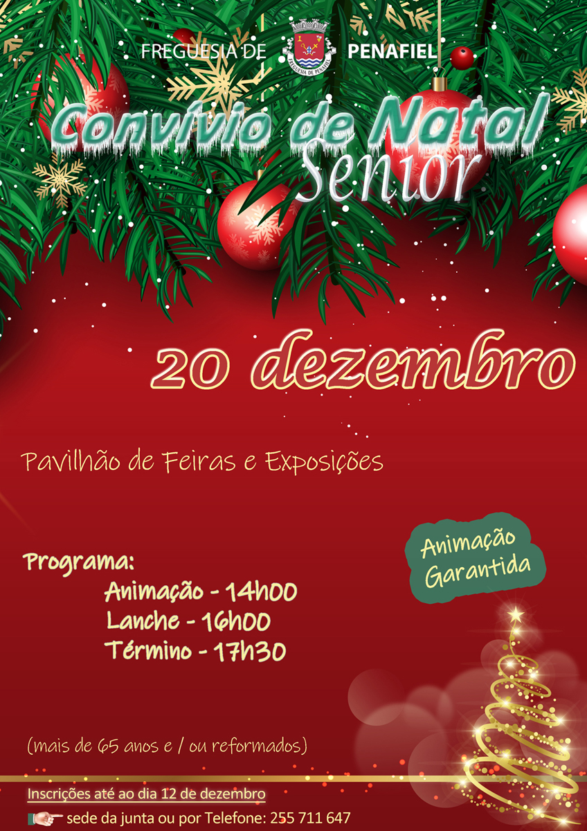 Convívio de Natal Sénior 2025